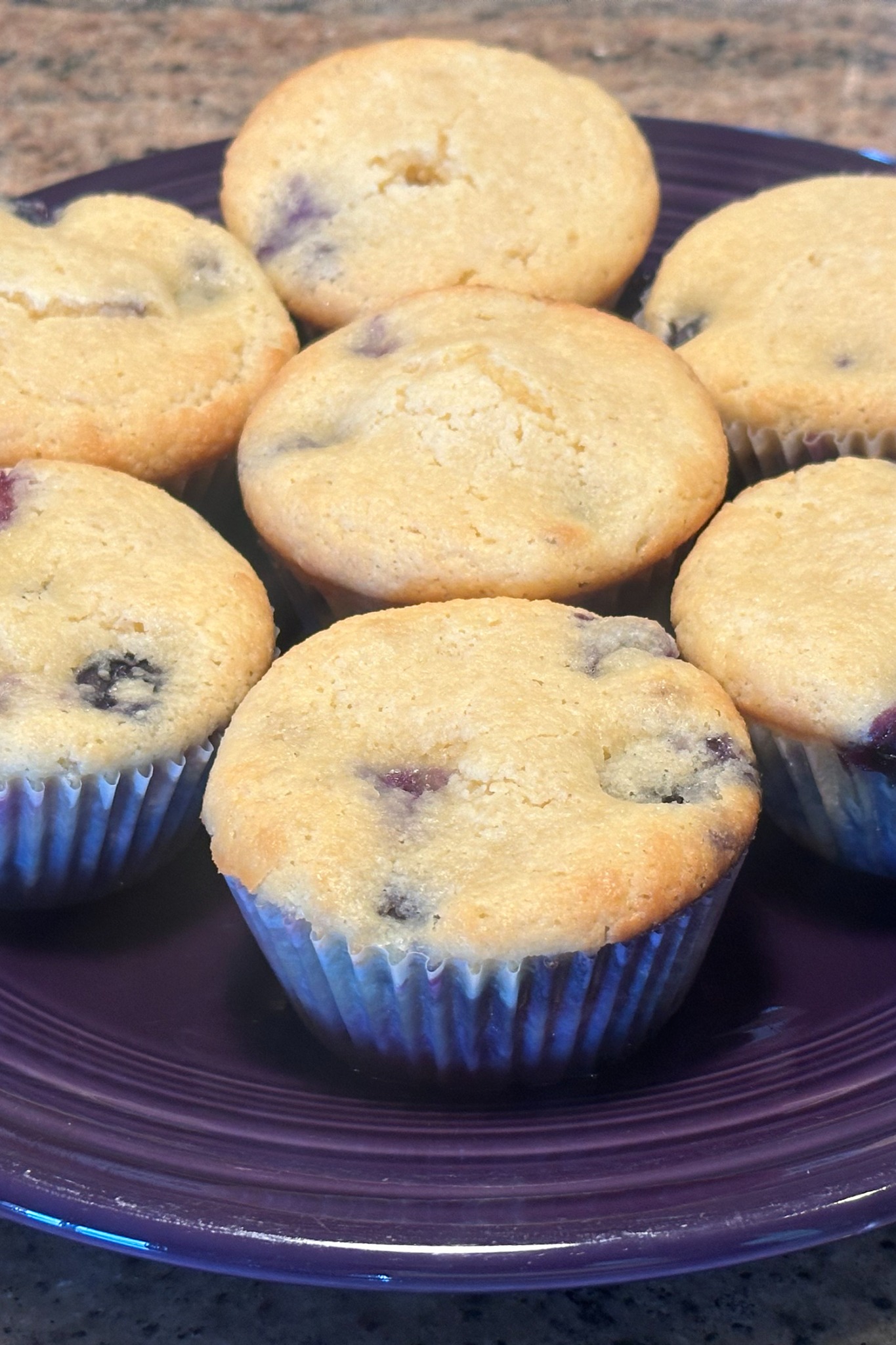 Blueberry Muffins
